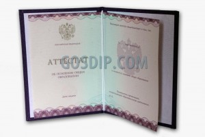 аттестат 9 класс вечерняя школа